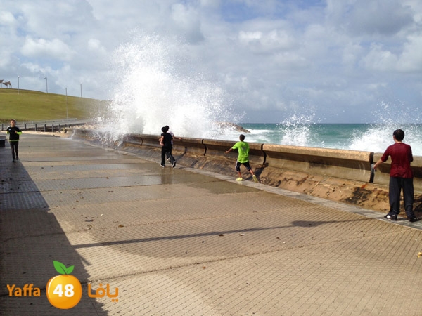 mina2yaffa327 (2).JPG